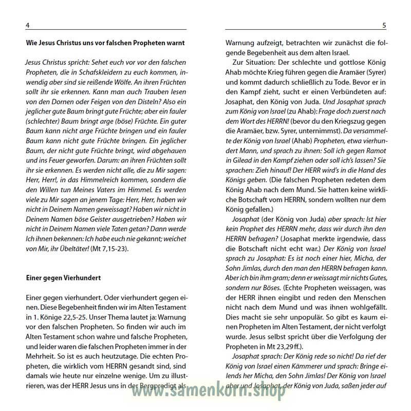 Wölfe in Schafskleidern?, Band 15  Reihe Orientierung / Heft