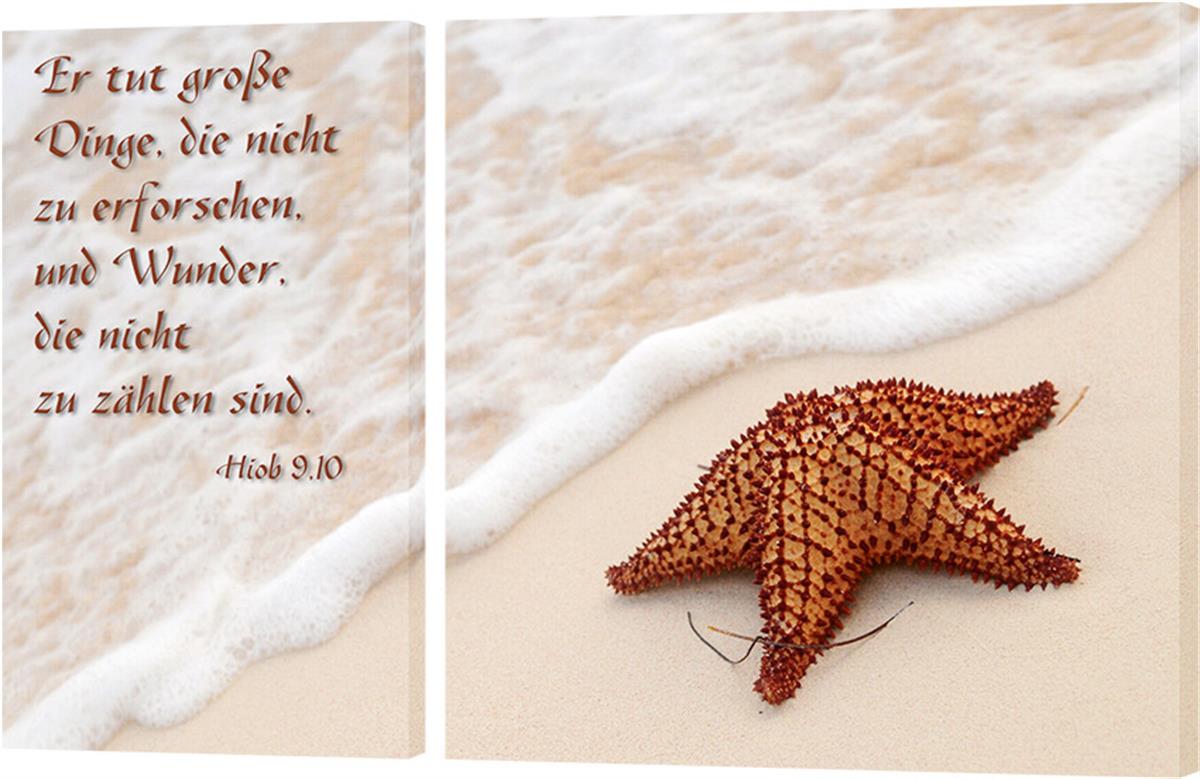 Bild "Seestern"
