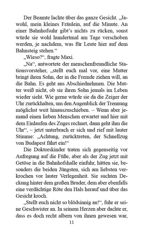 Winifreds Spiegel / Buch