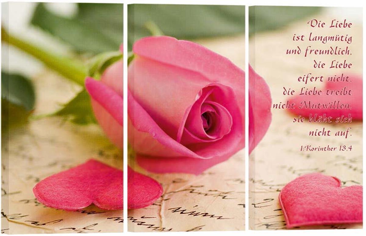 Bild "Rose"