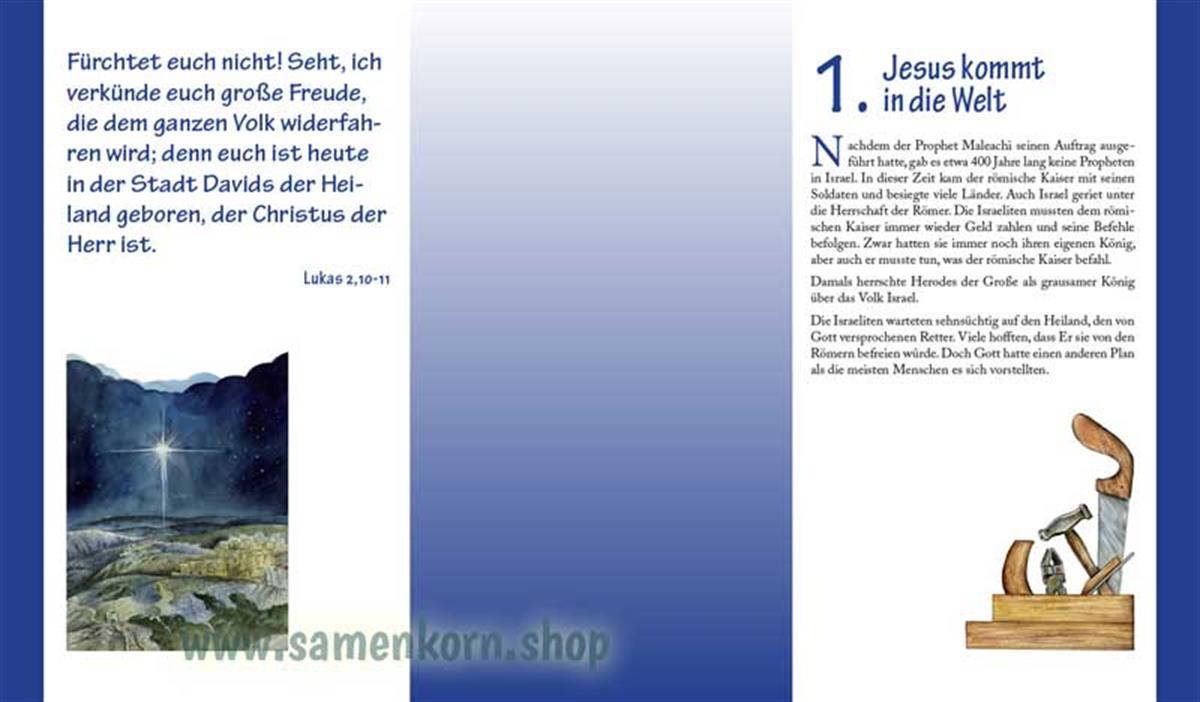 Entdecke die Bibel - NT / Kinderbibel