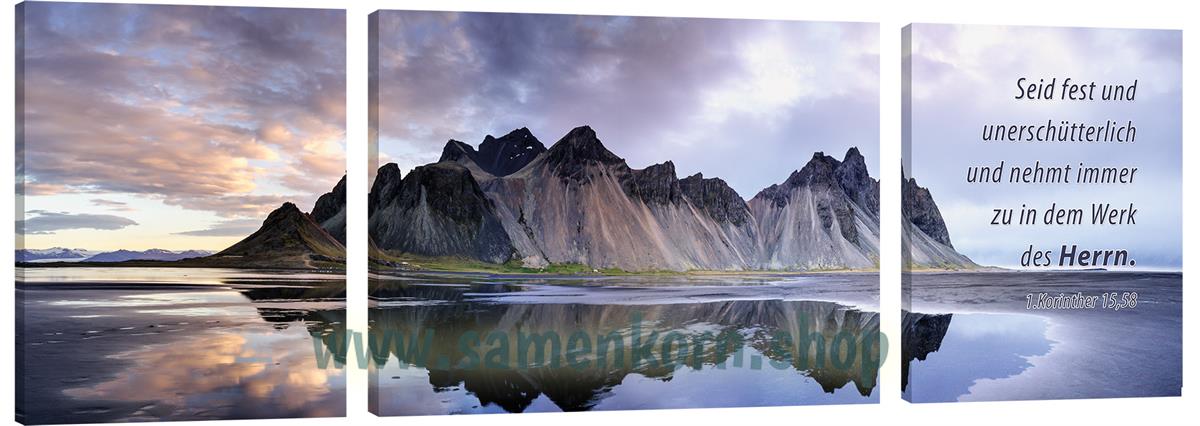Bild "Felsen im Meer"