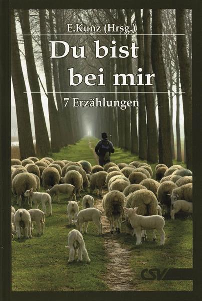 Du bist bei mir / 7 Erzählungen / Buch