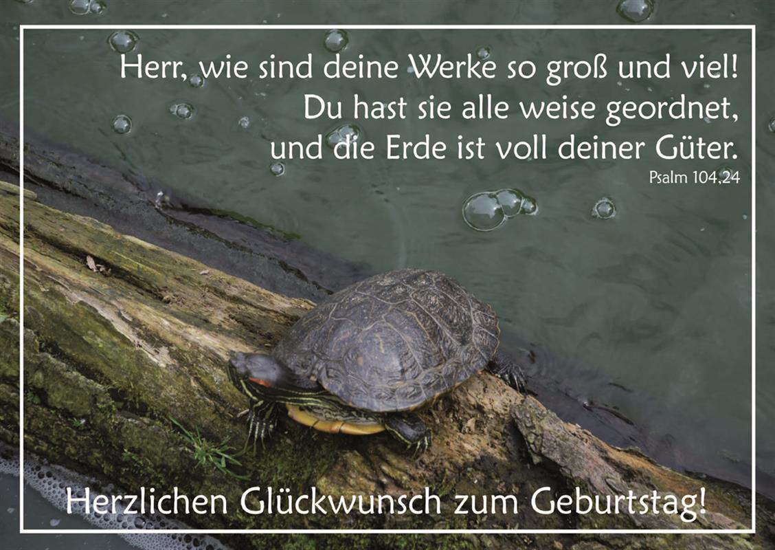 Postkarte zum Geburtstag / Psalm 104,24