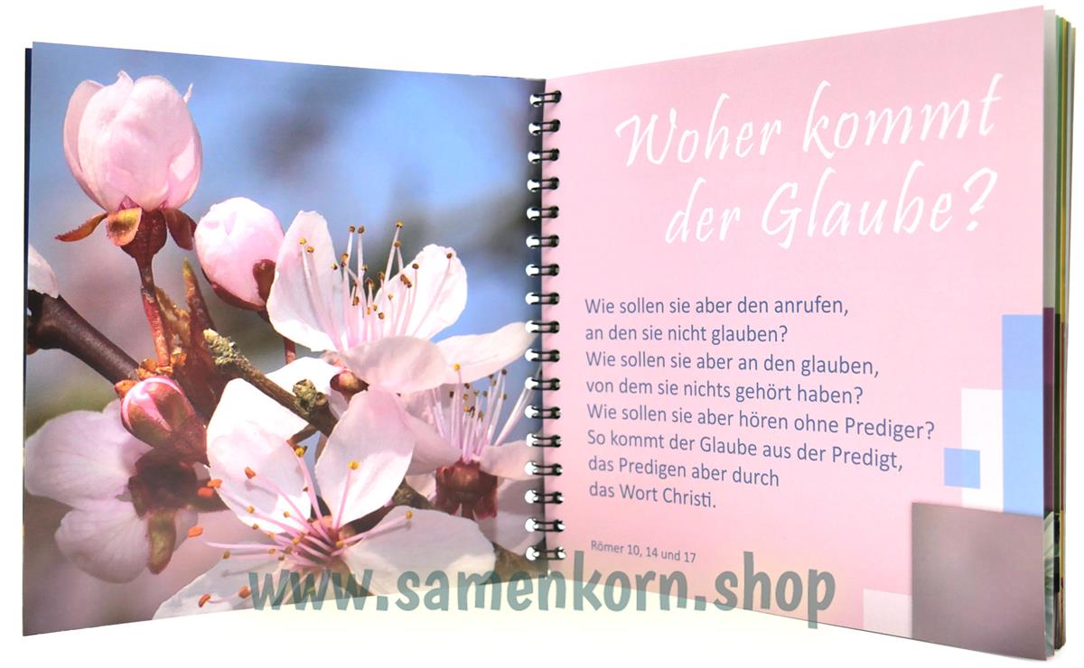 Ich wünsche DIR Glauben / CD