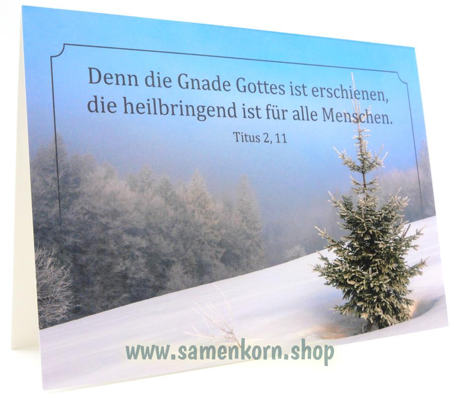 Doppelkarte Tanne im Schnee (Titus 2,11)