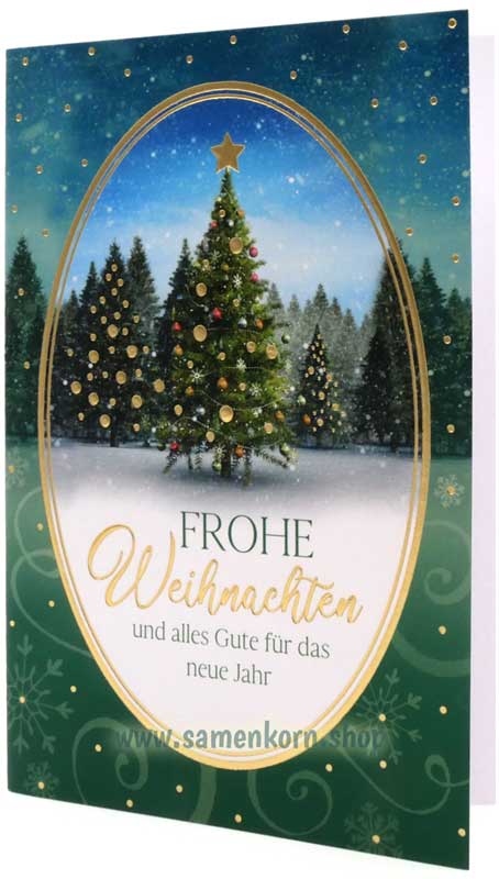 Faltkarte "Frohe Weihnachten und alles Gute..." Sach.9,9