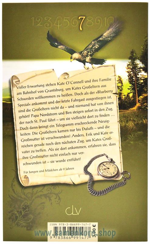 Opas gestolener Schatz / Abenteuerwälder 7 / Buch