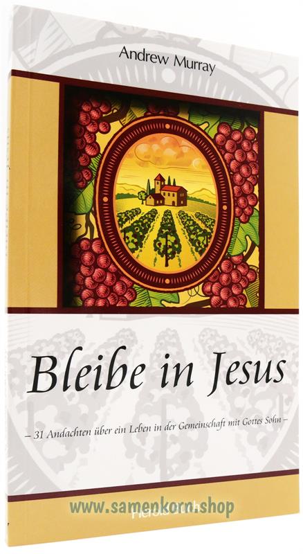 Bleibe in Jesus / Buch