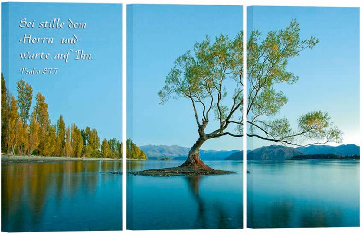 Bild "Baum auf Insel"