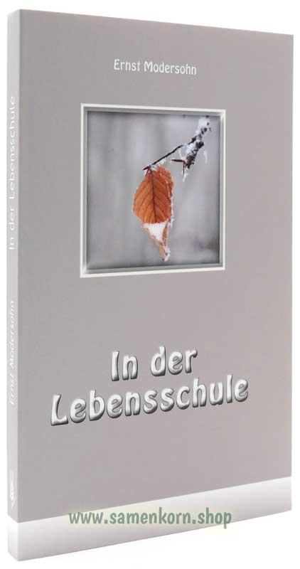 In der Lebensschule / Buch