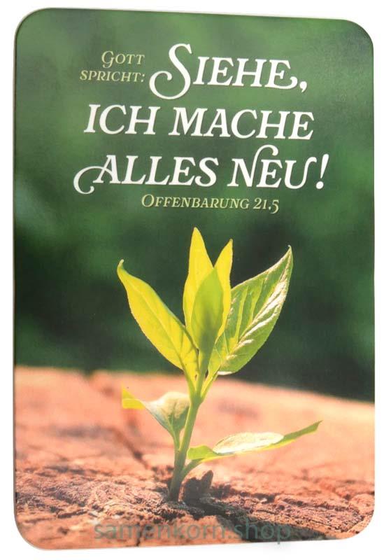 Spielkarten-Kalender Jahreslosung 2026