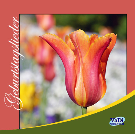 Geburtstagslieder / CD