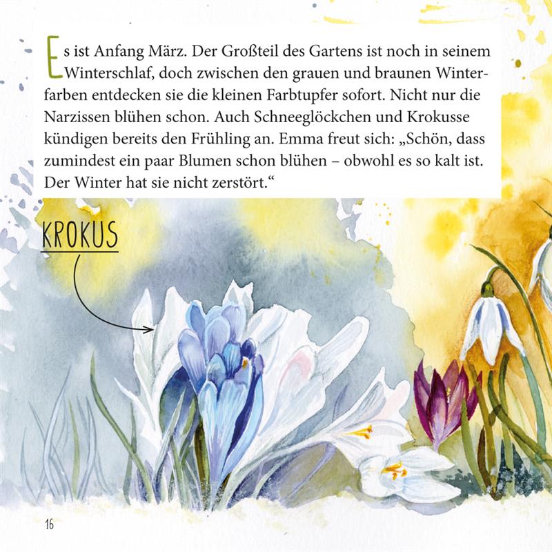 Die Narzisse / Heft 5