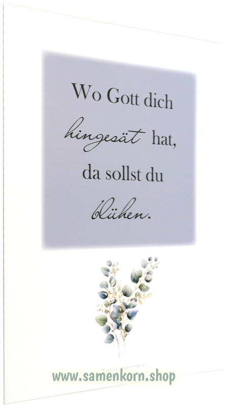 Poster A4 "Wo Gott dich hingesät hat..."