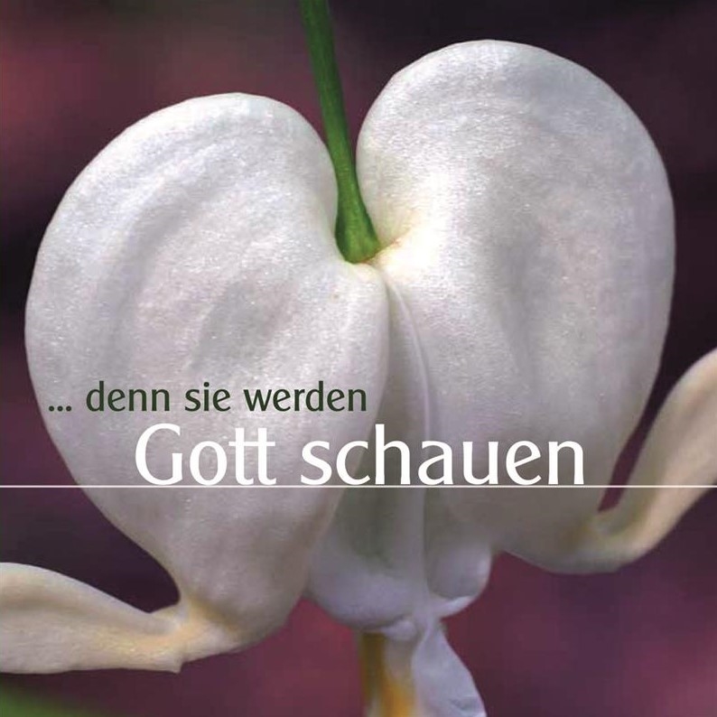 Denn sie werden Gott schauen / CD