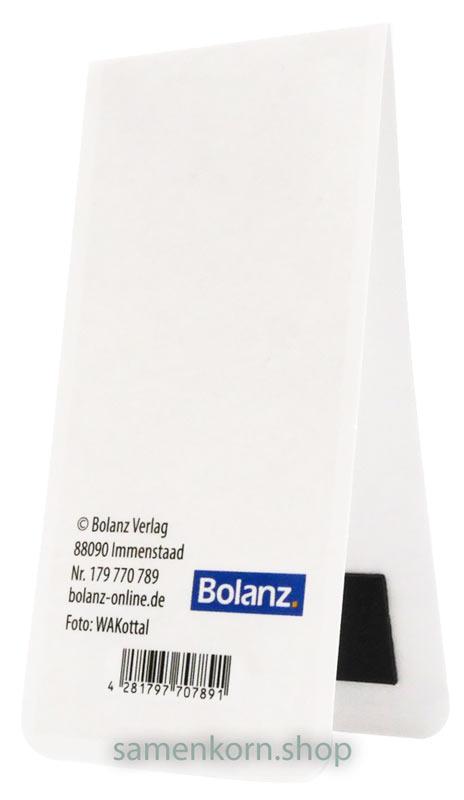 Magnetlesezeichen "Du bist kostbar"