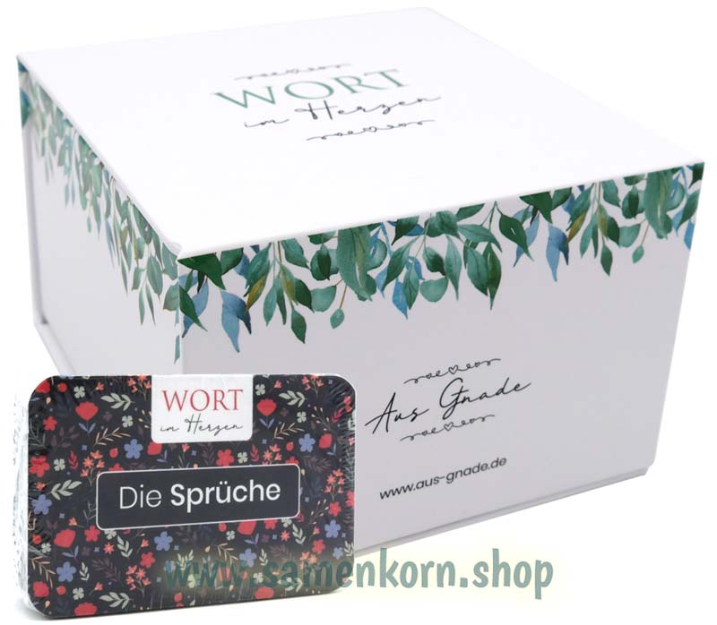 Die Sprüche - Wort im Herzen / 48 Lernkarten mit Box