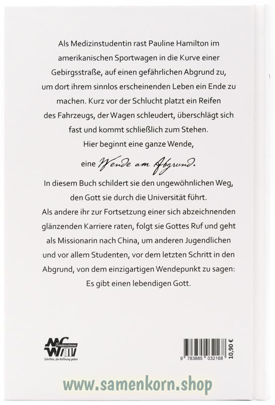 Wende am Abgrund/ Buch