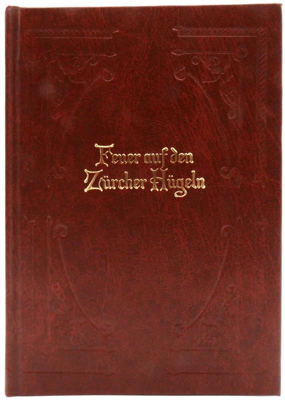 Feuer auf den Zürcher Hügeln / Buch