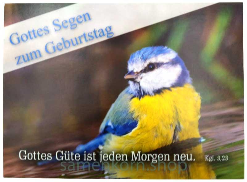 Postkarte "Gottes Segen zum Geburtstag" Kl.3,23
