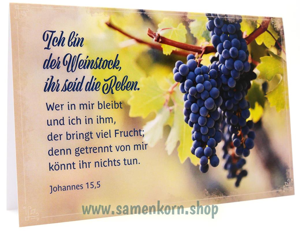 Faltkarte Ich bin der Weinstock | Samenkorn e.V.