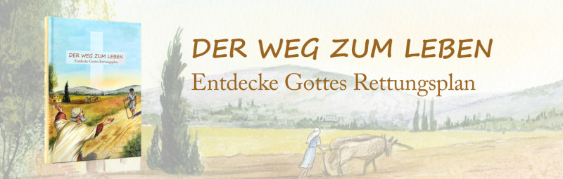 Der Weg zum Leben | Evangelistisches Buch (nicht nur) für Kinder