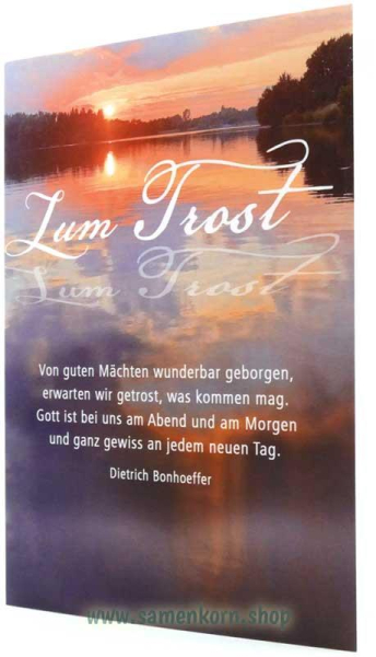 800395_Zum_Trost.jpg